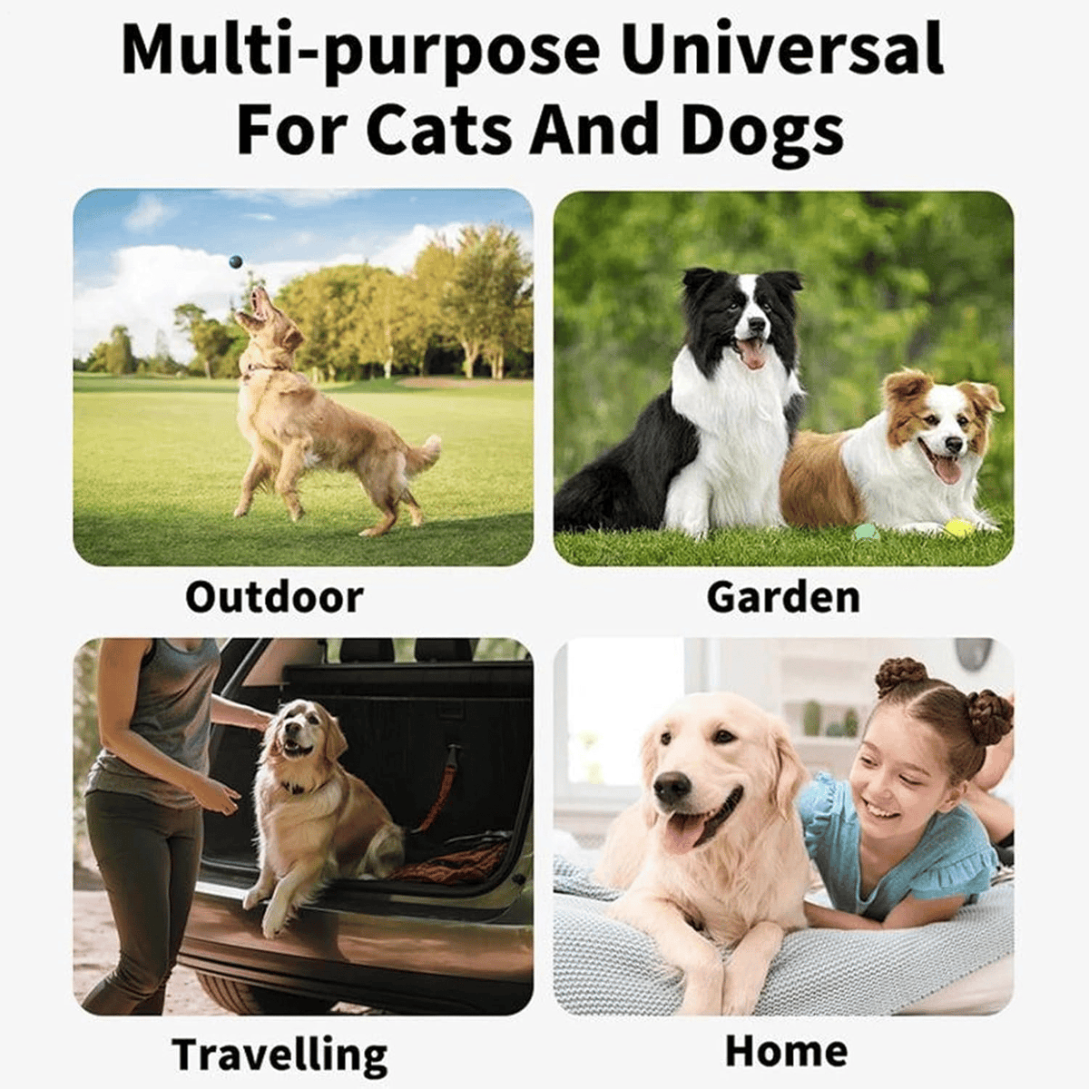 20Pcs Deodorizing Pet Glove Wipes