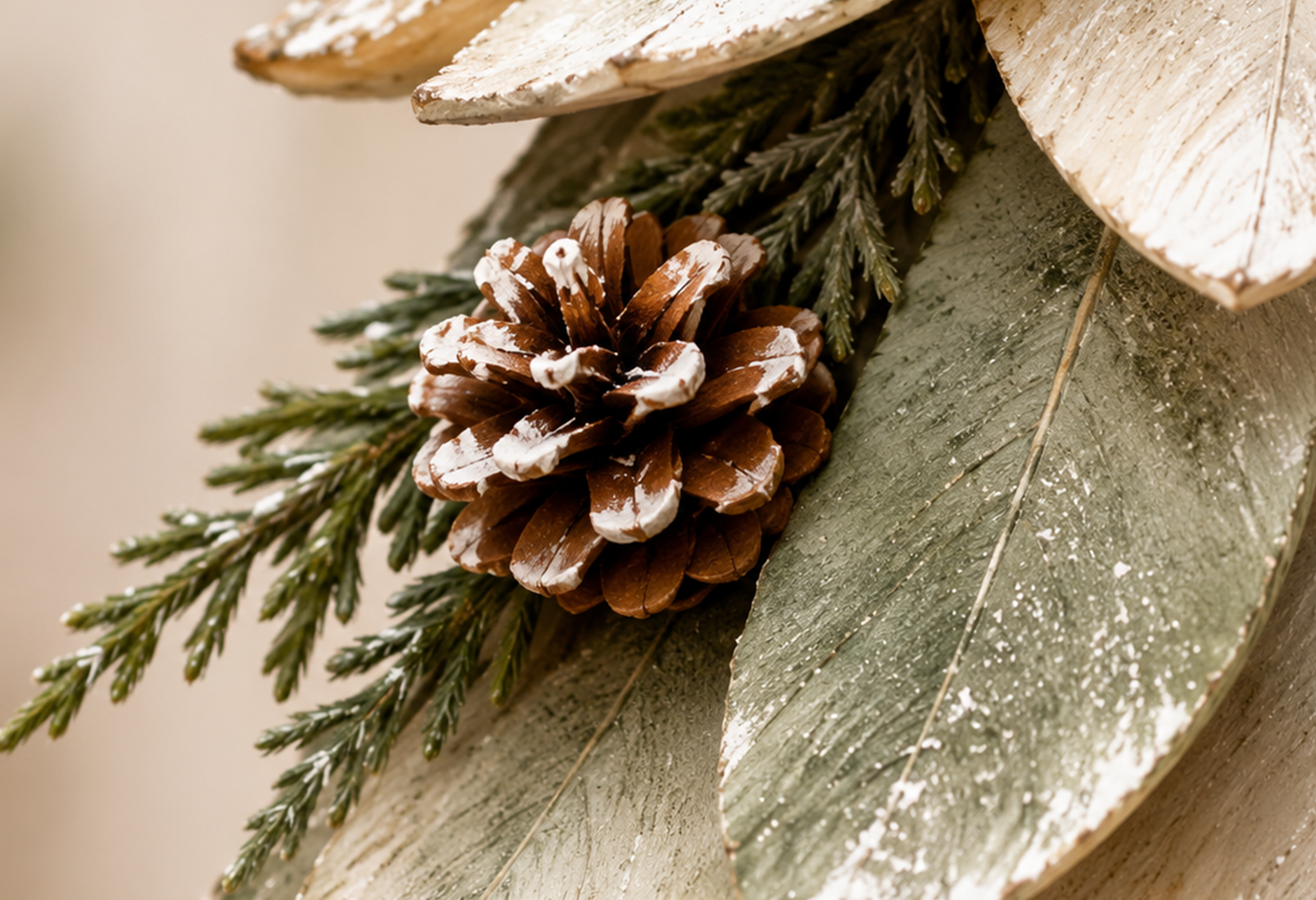 Winter Accent