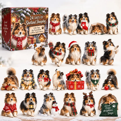 24 Days of Sheltie Joy — 24 Fluffy Personalities, One Loyal Little Pack 🐾❤️