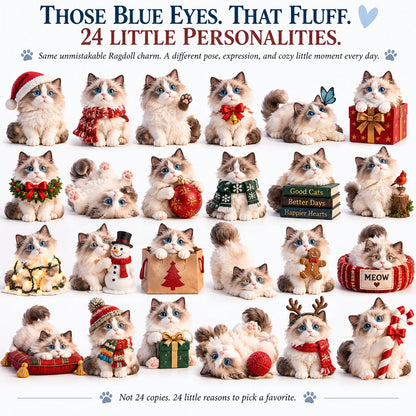 💙24 Days of Ragdoll Love — 24 Fluffy Little Personalities to Make Every Day Sweeter