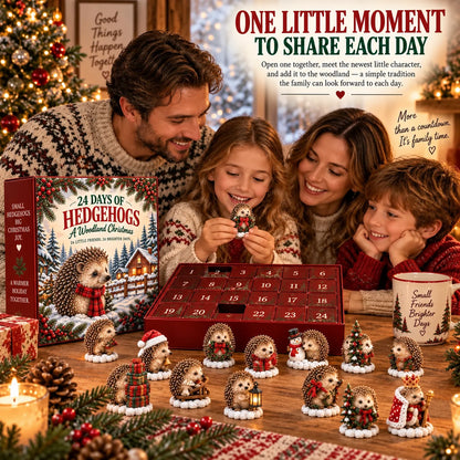 24 Days Of Hedgehogs A Woodland Christmas 2026 Advent Calendar