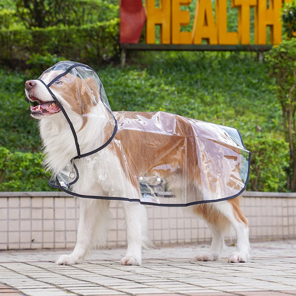 🌧️ Clear Dog Raincoat