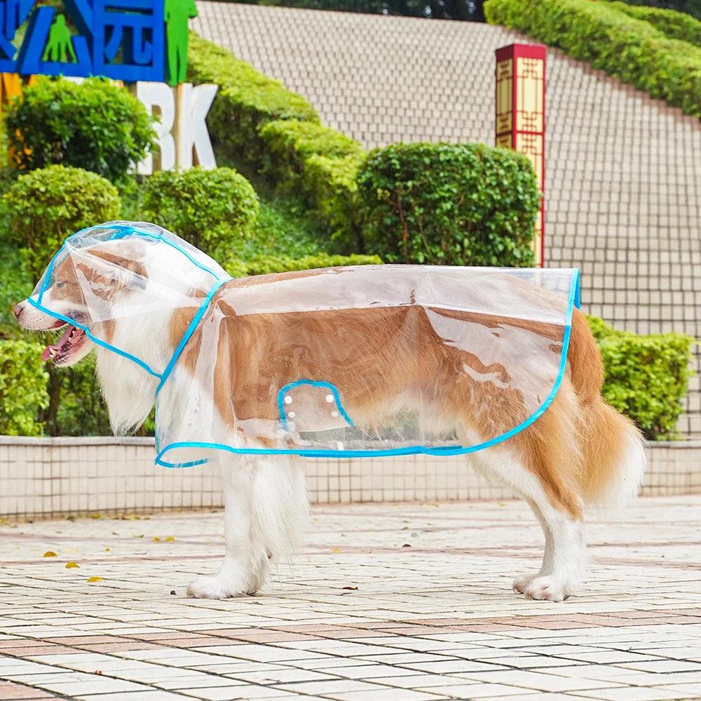 🌧️ Clear Dog Raincoat