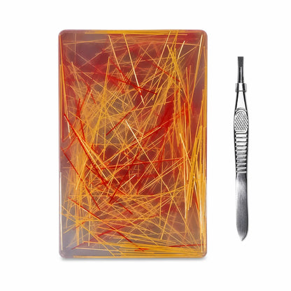 🎄christmas Best Gift Idea🎁rectangular Skin Picking Fidget Toy With Tweezers