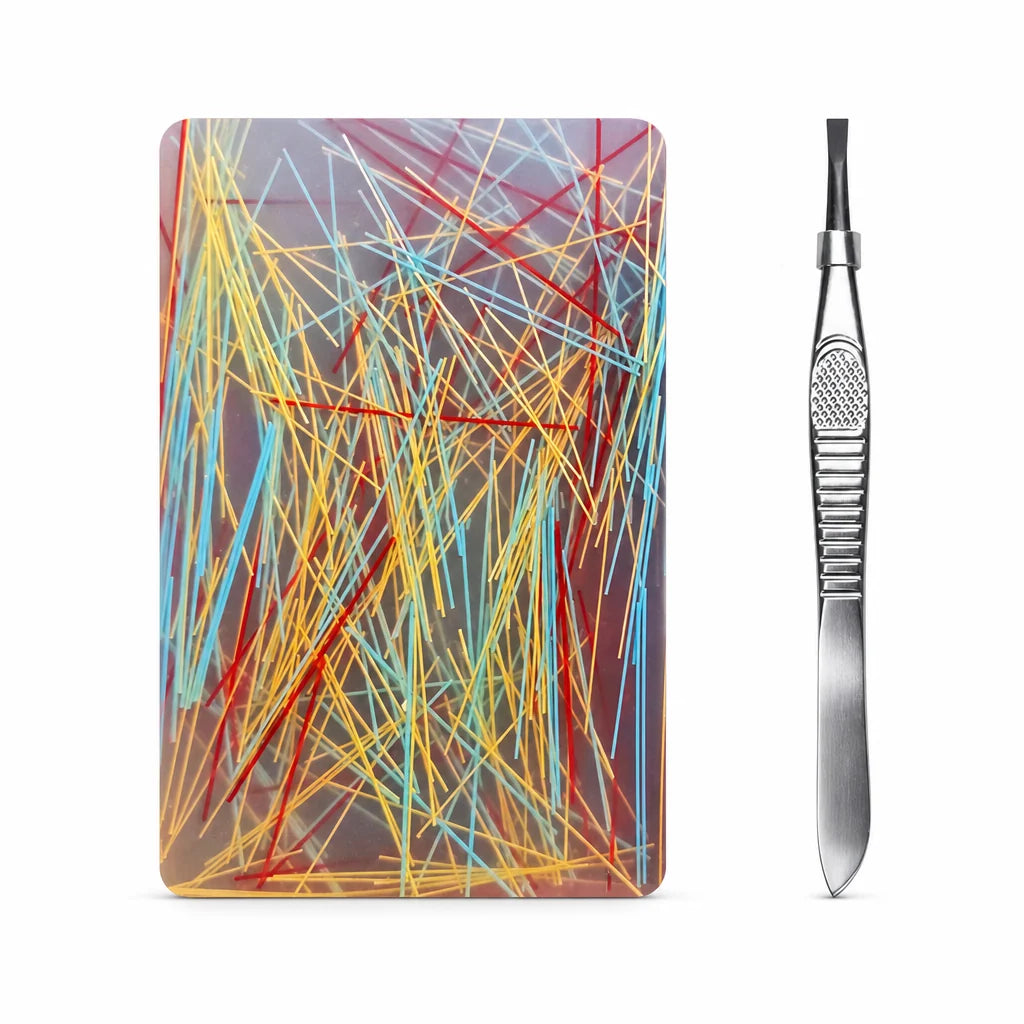 🎄christmas Best Gift Idea🎁rectangular Skin Picking Fidget Toy With Tweezers