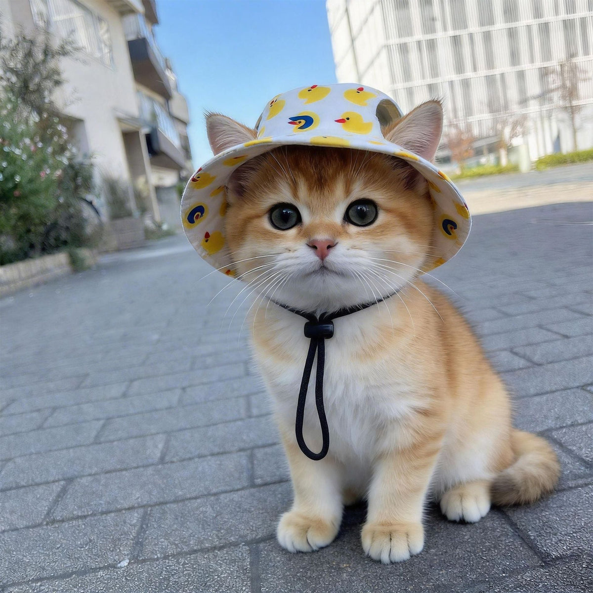 🐾 Cute Printed Pet Bucket Hat, Breathable Sun Cap Fits Dogs & Cats