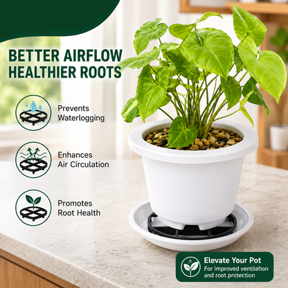 Plant Pot Riser Stand for Better Drainage & Healthy Roots