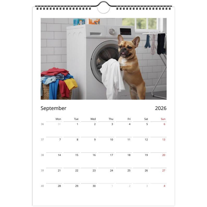 French bulldog Calendar 2026 - Daily Activities