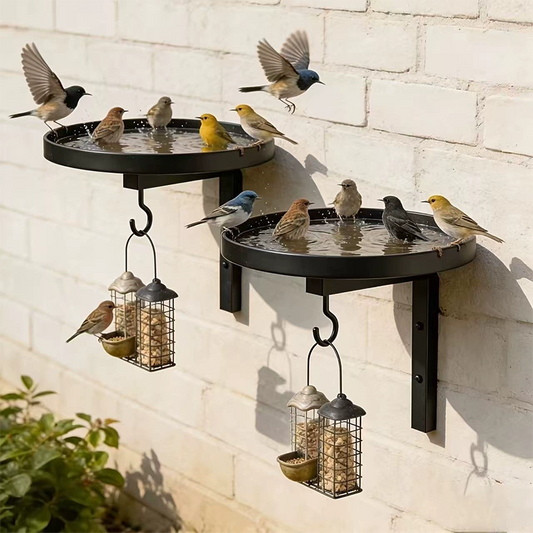 ✨Wall-Mounted Metal Bird Bath – Antique Bronze Finish 🐦🛁🧱🏡