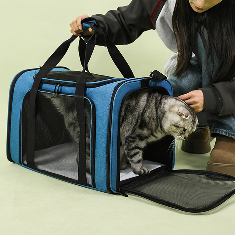 🏆LAST DAY 49% OFF🐾Large Foldable Mesh Cat Carrier Bag