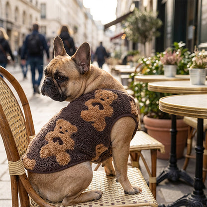 🐶 LIMITED-TIME 50% OFF! ✨ Cute Plush-Lined Pet Vest – Warm, Stretchy, Bear Pattern 🧸